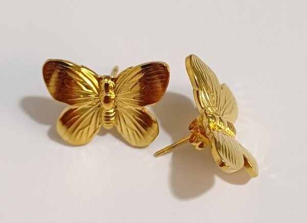 Mariposa - Imagen 2